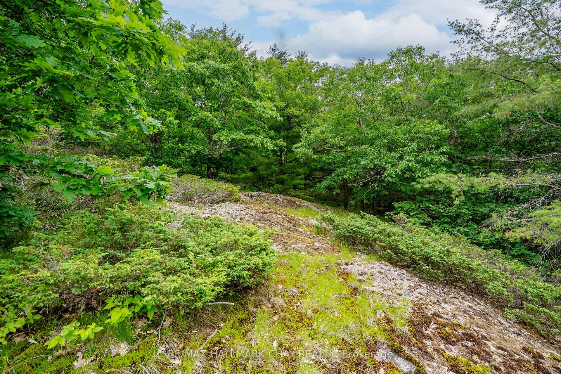 Photo 15 of Lot 2 Delta Road, Severn, Rural Severn — HOMEH
