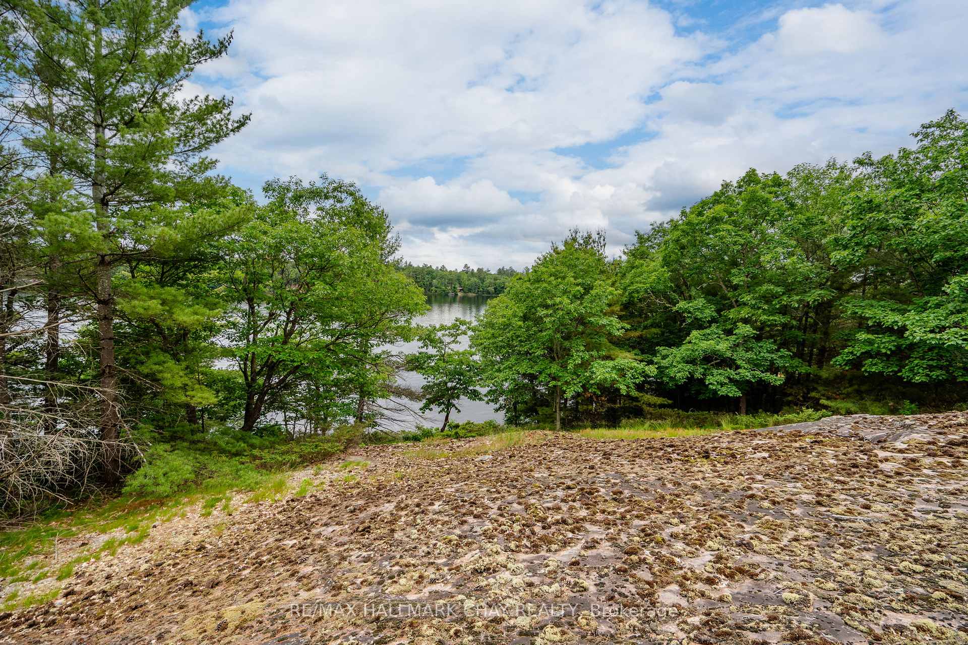 Photo 18 of Lot 2 Delta Road, Severn, Rural Severn — HOMEH