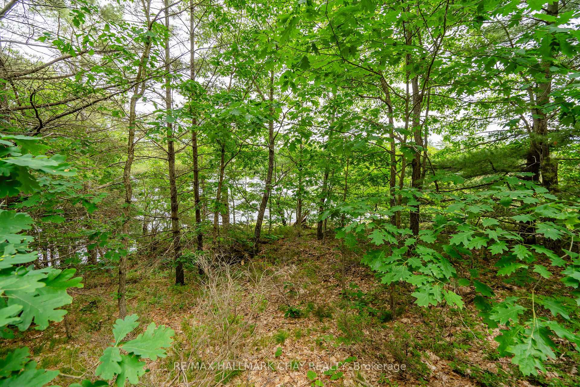 Photo 19 of Lot 2 Delta Road, Severn, Rural Severn — HOMEH