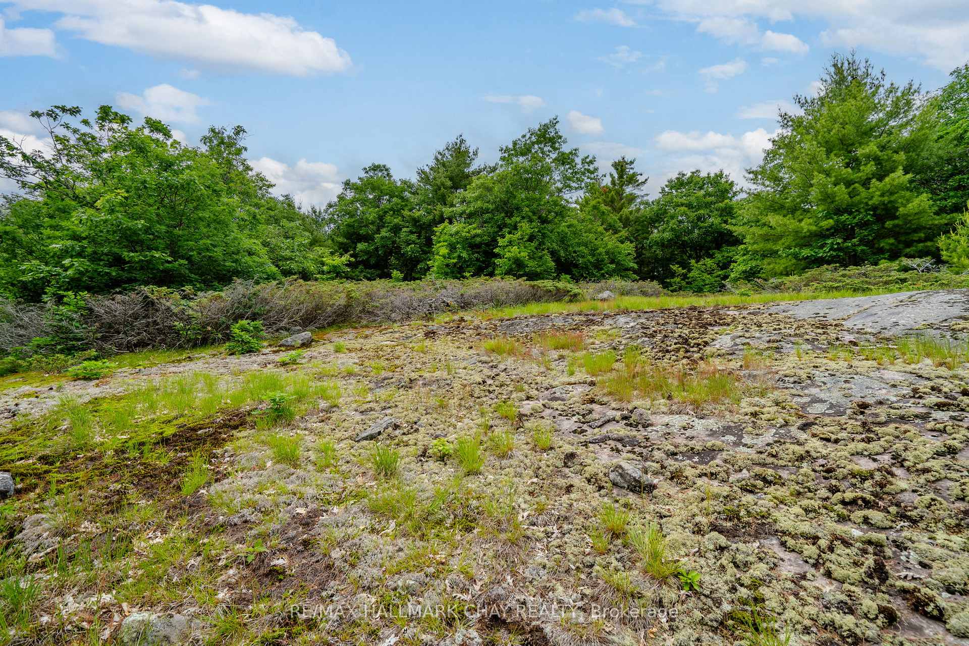 Photo 21 of Lot 2 Delta Road, Severn, Rural Severn — HOMEH