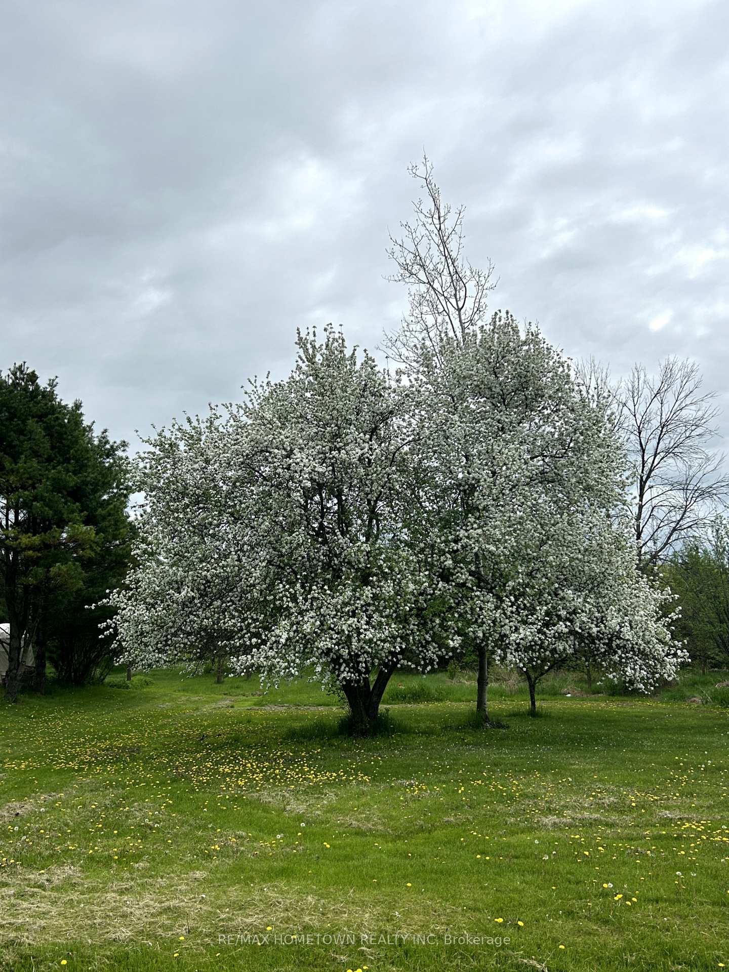 Photo 4 of 45 County Road 40, Athens, R of Yonge & Escott Twp — HOMEH