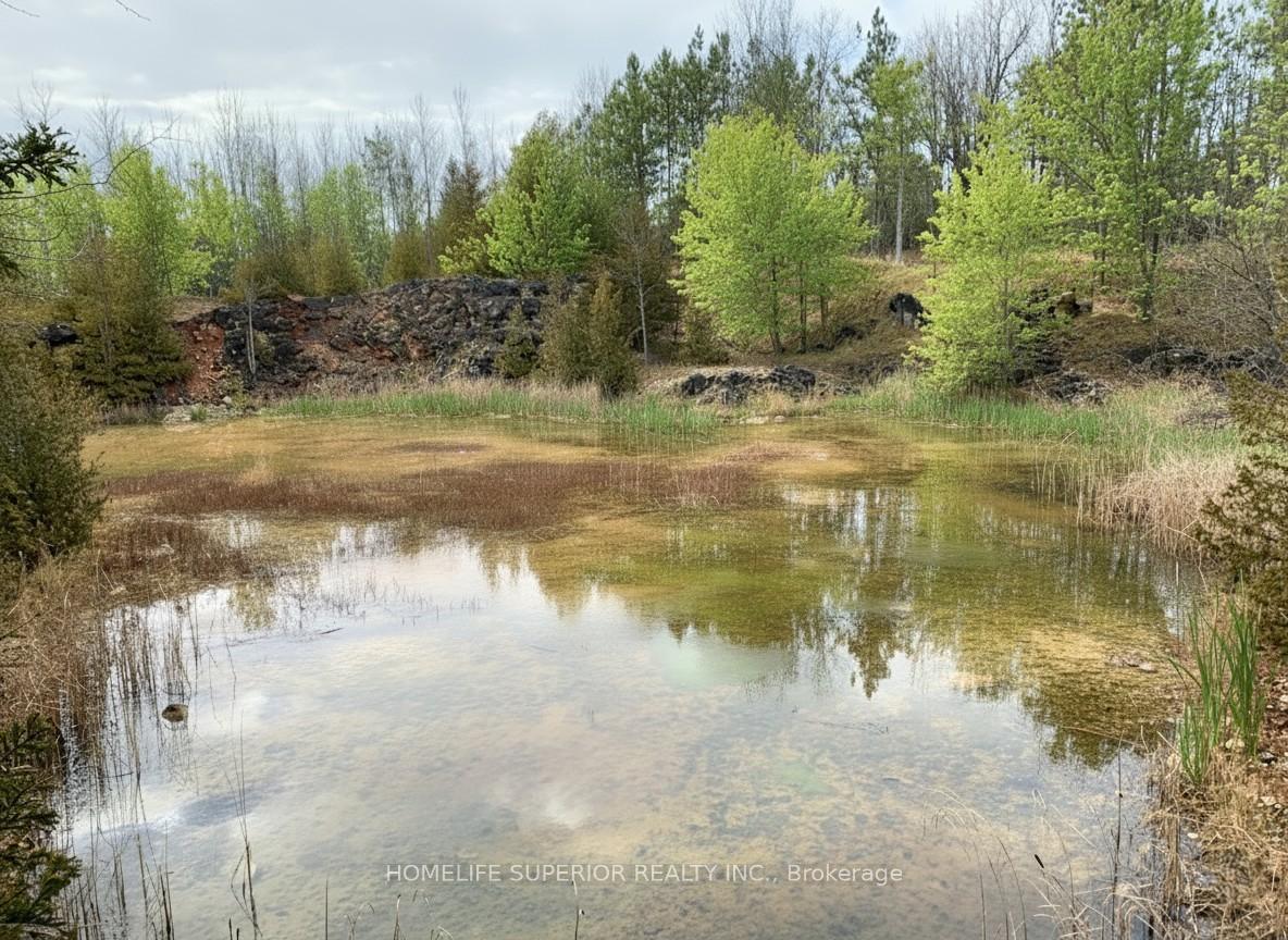 Photo 18 of 16213 Highway 62, Madoc — HOMEH