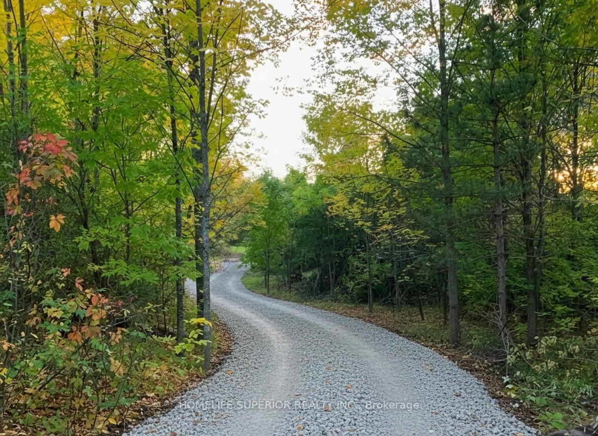 Photo 20 of 16213 Highway 62, Madoc — HOMEH