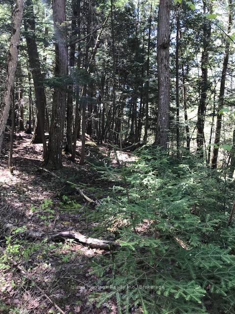 Photo 2 of 10 parker bay Road, Whitestone — HOMEH