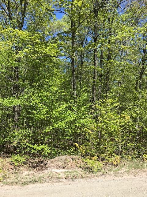 Photo 4 of 10 parker bay Road, Whitestone — HOMEH