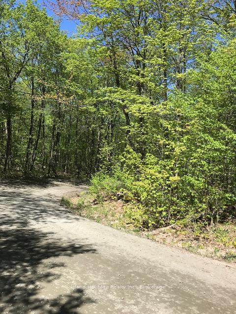 Photo 5 of 10 parker bay Road, Whitestone — HOMEH