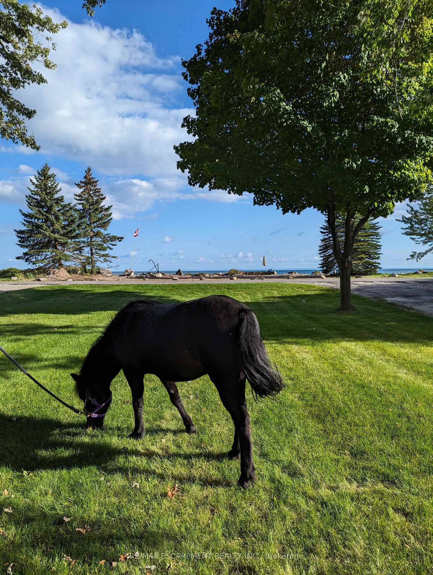 Photo 37 of 2811 North Shore Drive, Haldimand, Dunnville — HOMEH