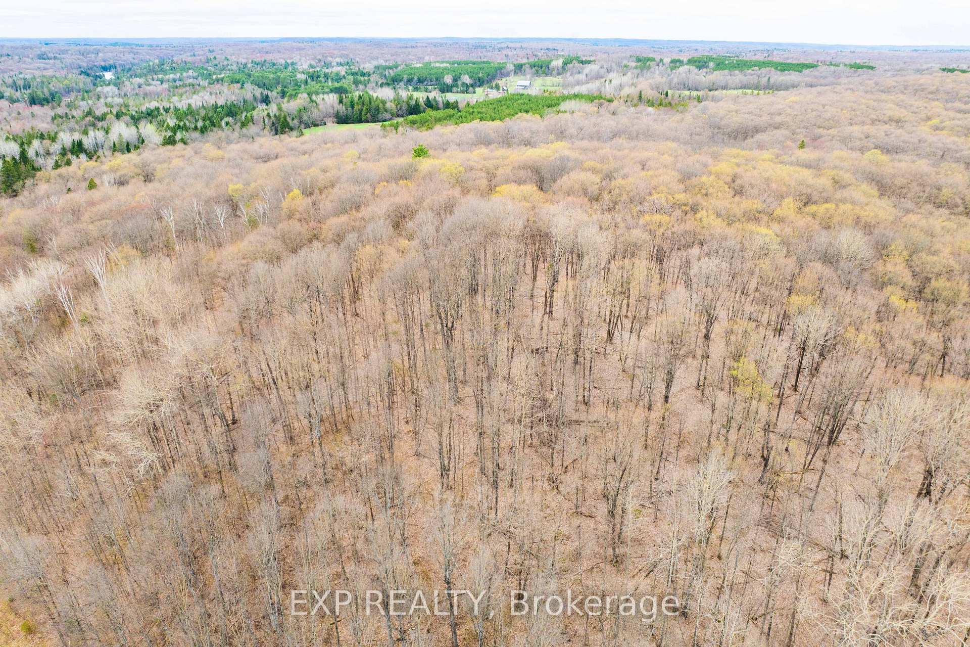 Photo 9 of Blairhampton Road, Minden Hills, Minden — HOMEH