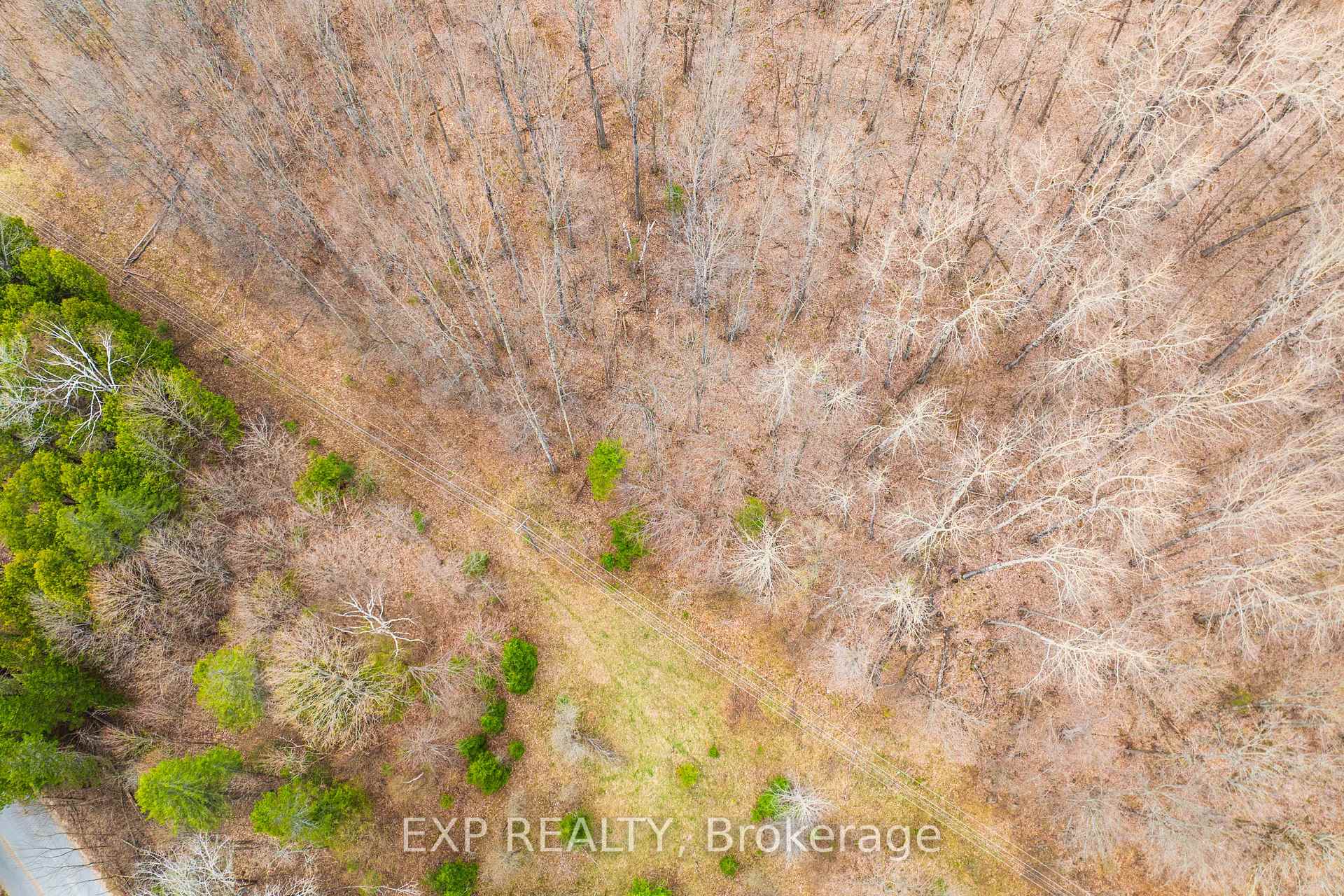 Photo 11 of Blairhampton Road, Minden Hills, Minden — HOMEH