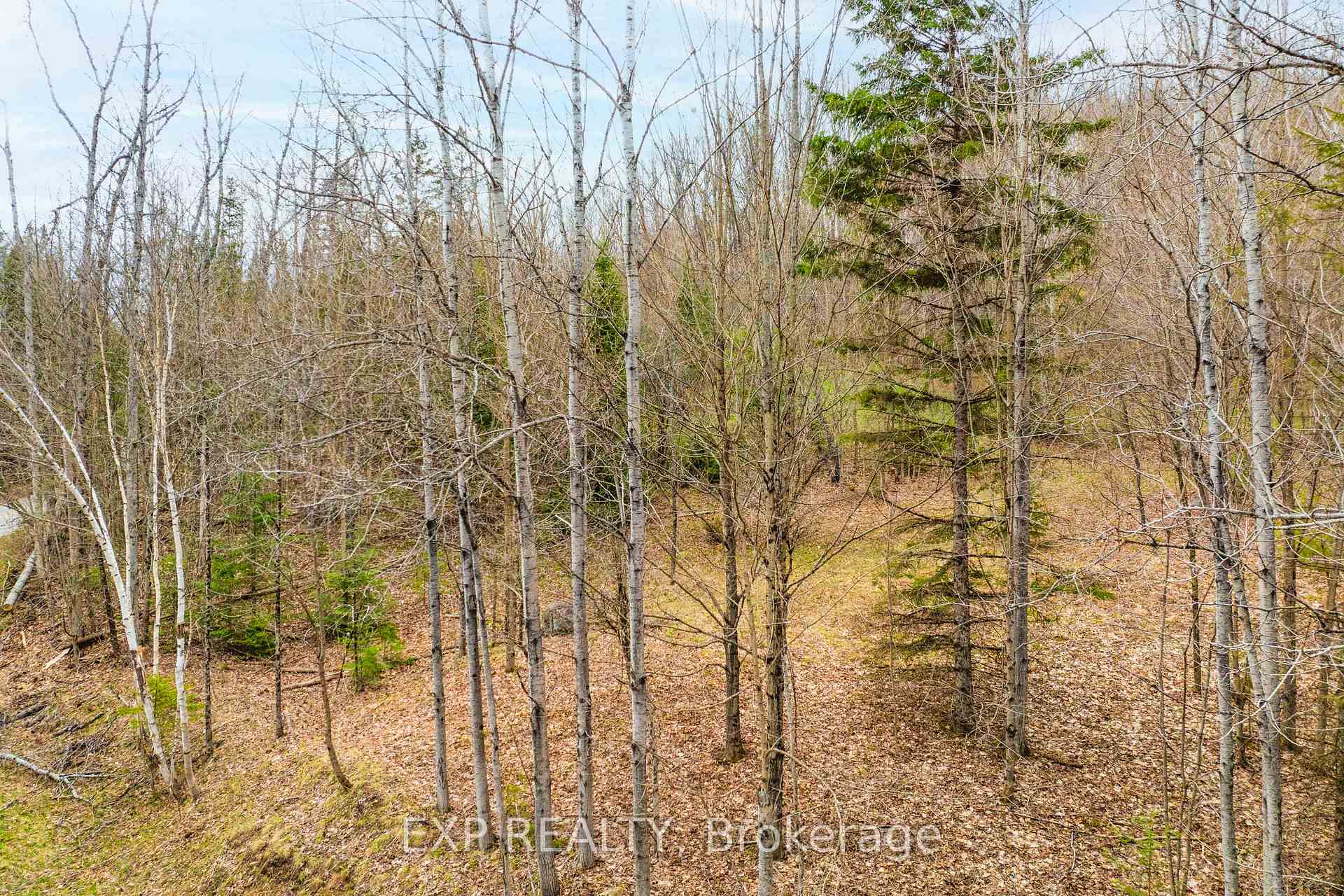 Photo 13 of Blairhampton Road, Minden Hills, Minden — HOMEH
