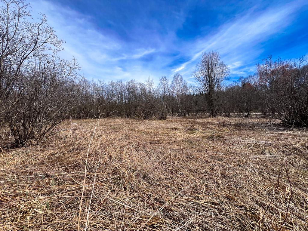 Photo 13 of Lot 16 Patrick Street, Magnetawan — HOMEH