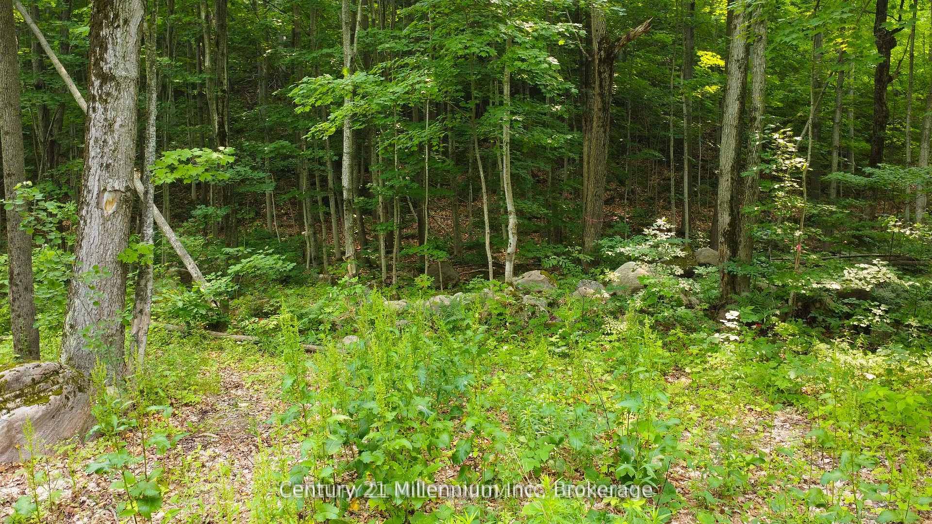 Photo 6 of Lot 52 Tiny Beaches Road N, Tiny, Rural Tiny — HOMEH