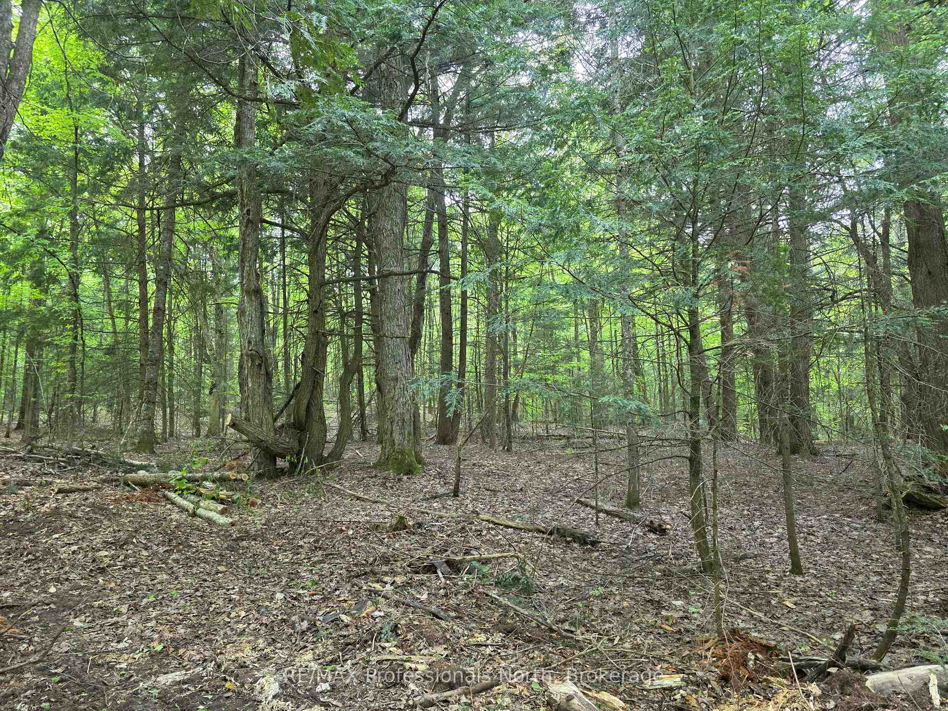 Photo 2 of 1163 25th Line Road, Algonquin Highlands, Stanhope — HOMEH
