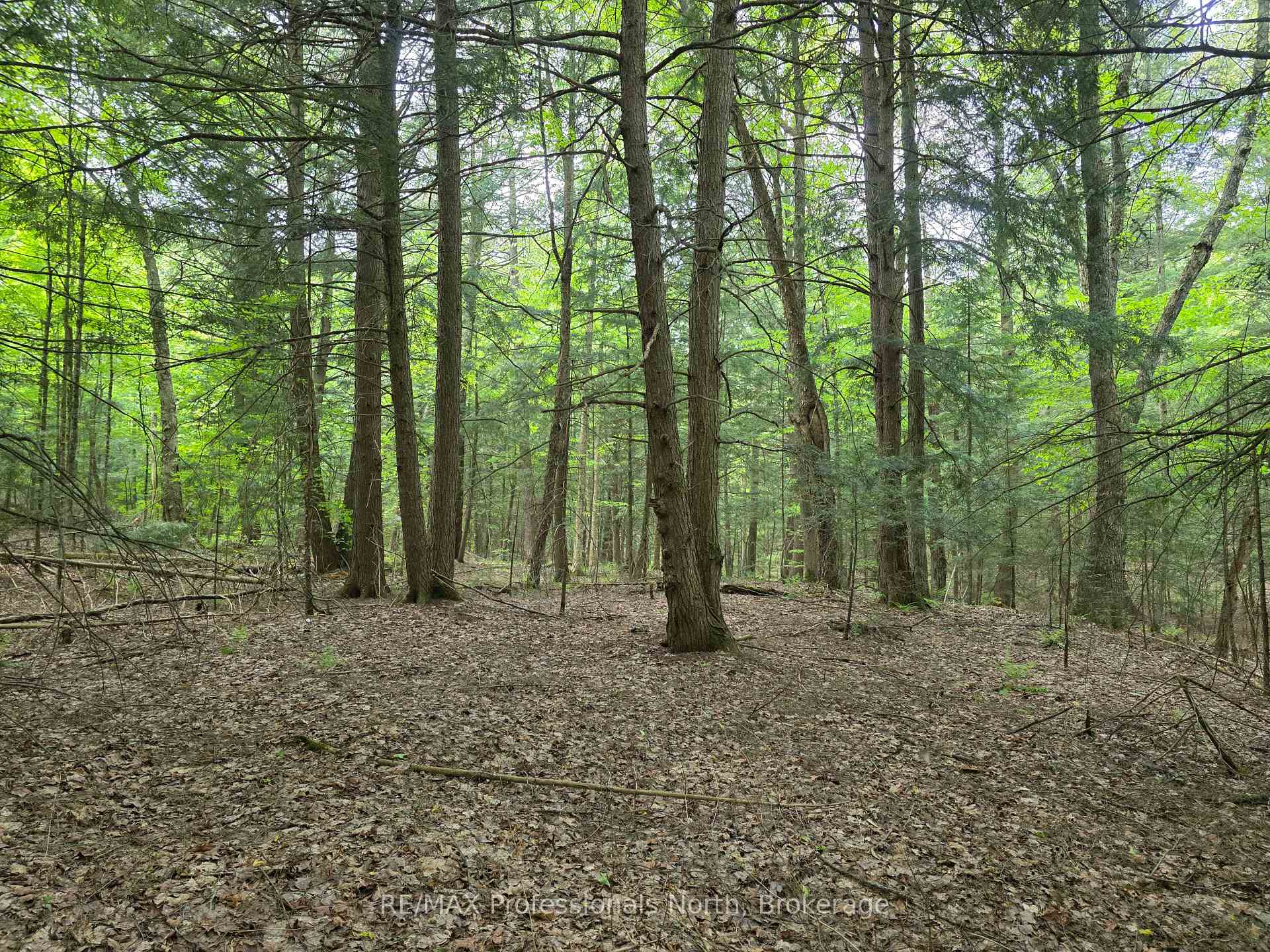 Photo 7 of 1163 25th Line Road, Algonquin Highlands, Stanhope — HOMEH