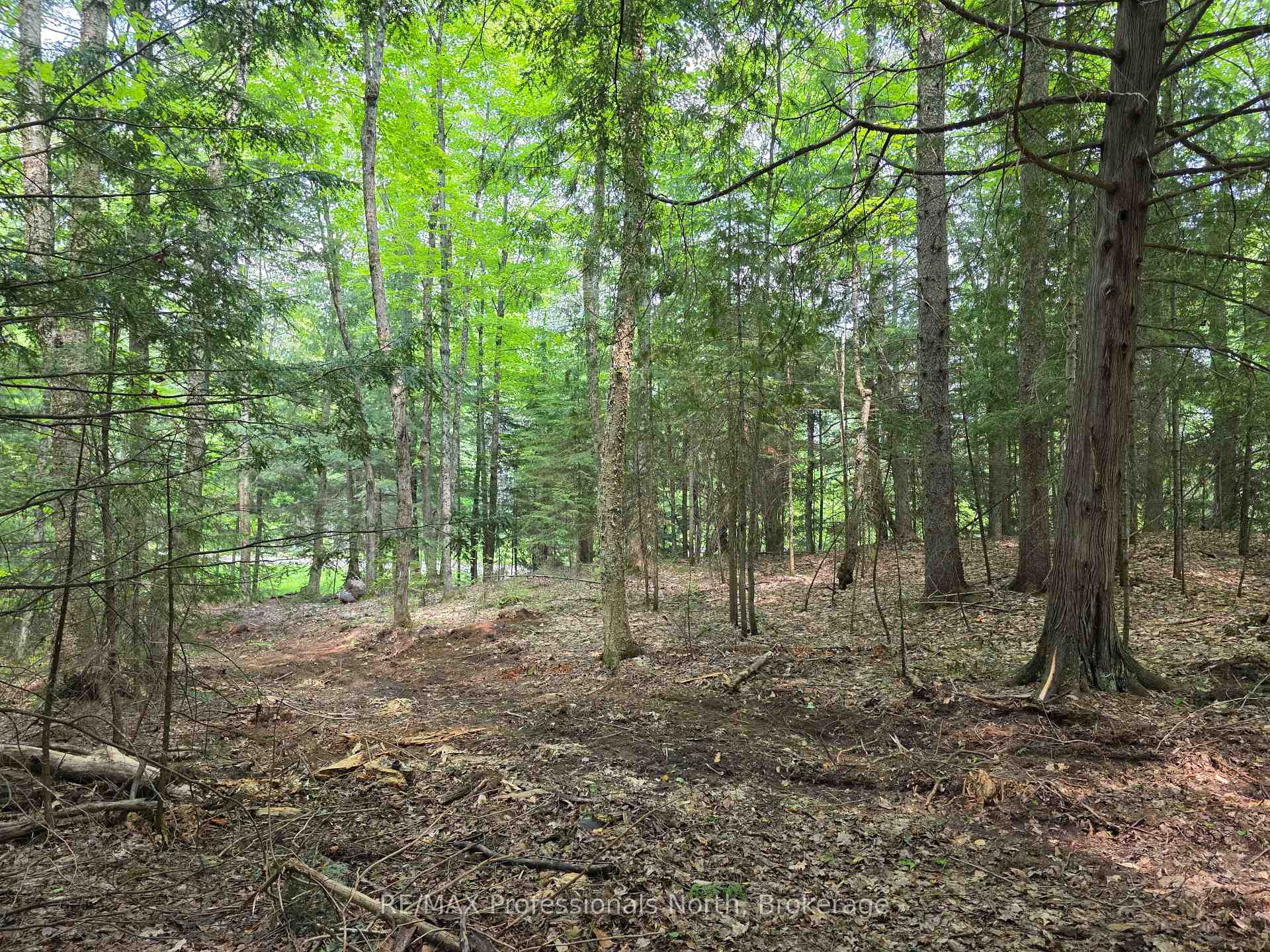 Photo 4 of 1163 25th Line Road, Algonquin Highlands, Stanhope — HOMEH