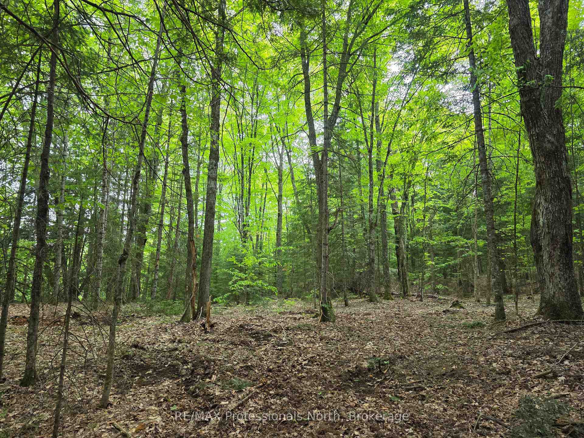 Photo 5 of 1163 25th Line Road, Algonquin Highlands, Stanhope — HOMEH