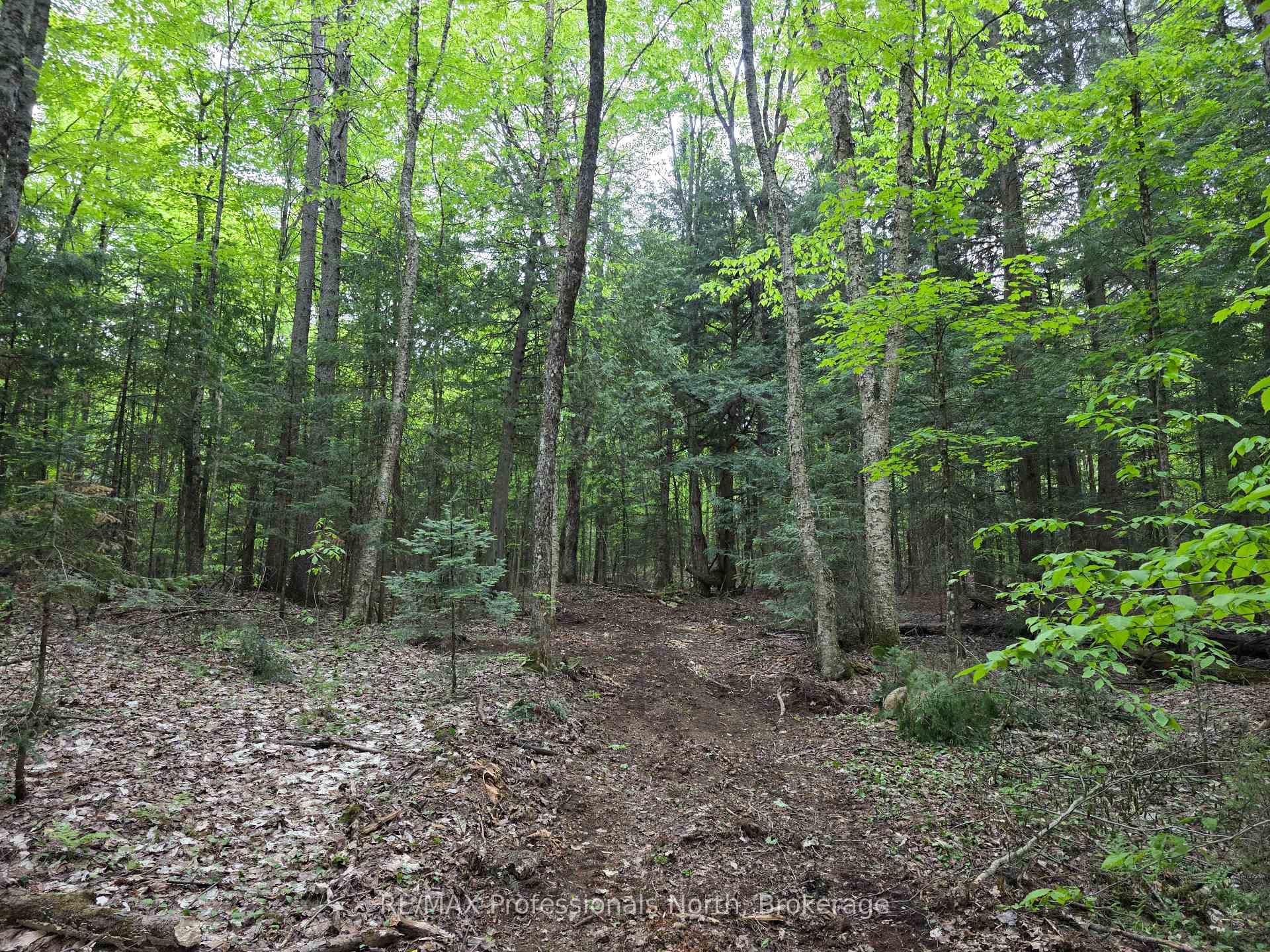 Photo 6 of 1163 25th Line Road, Algonquin Highlands, Stanhope — HOMEH