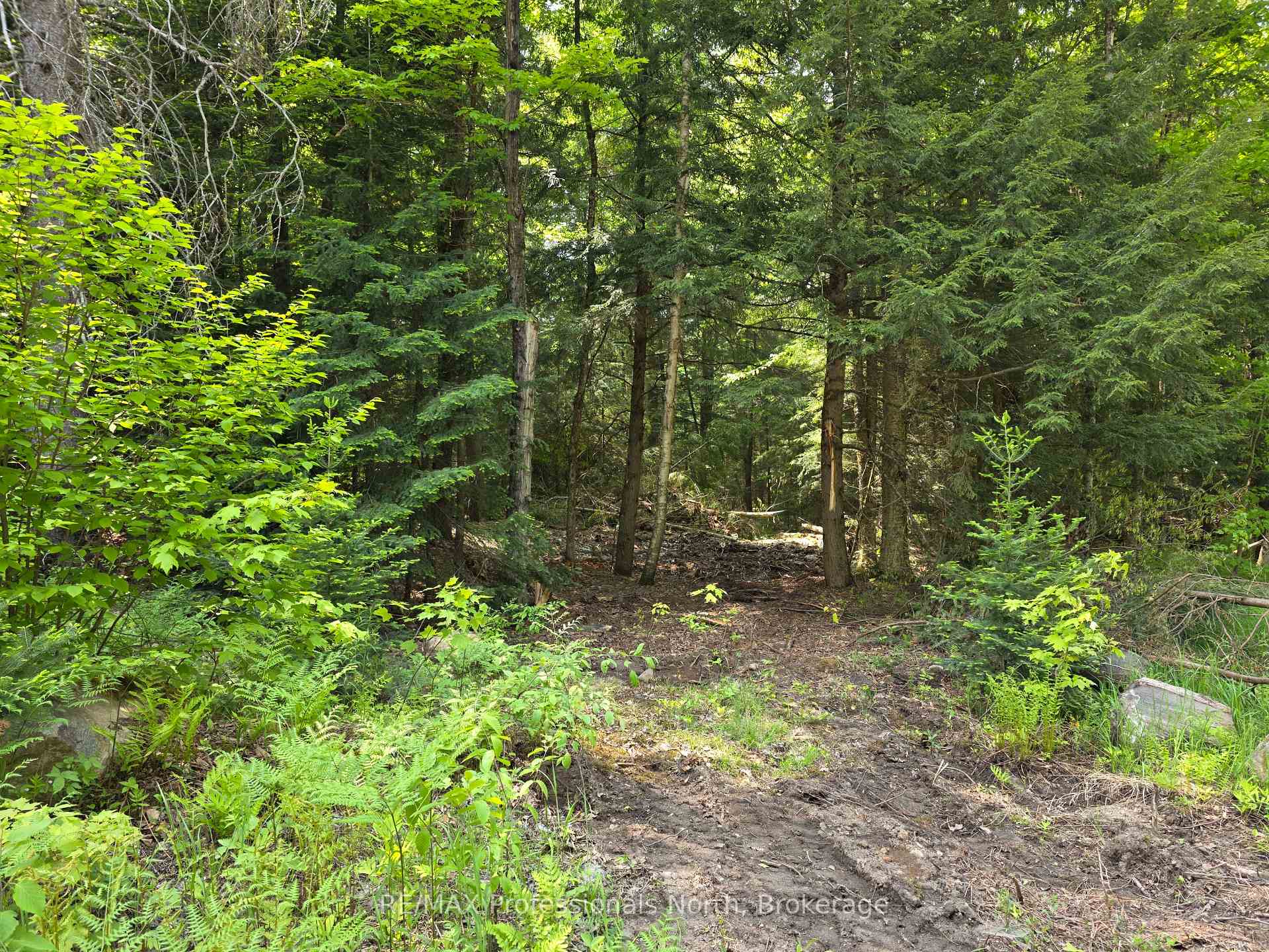 Photo 9 of 1163 25th Line Road, Algonquin Highlands, Stanhope — HOMEH