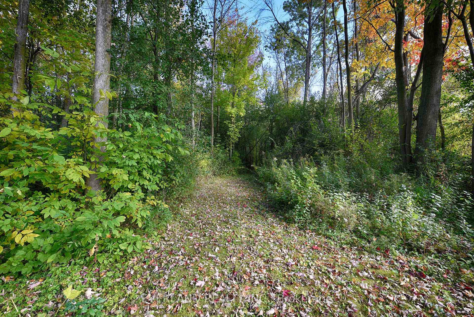 Photo 12 of 27001 Civic Centre Road, Georgina, Historic Lakeshore Communities — HOMEH