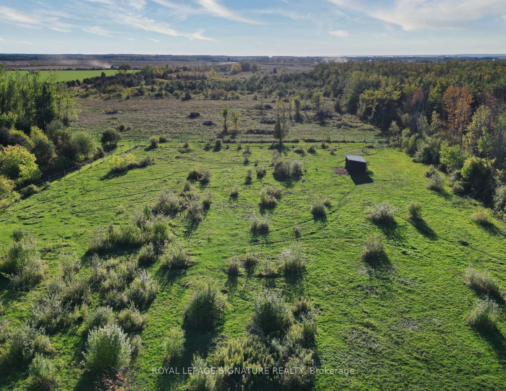 Photo 7 of 1152 Concession Road, Ramara, Brechin — HOMEH