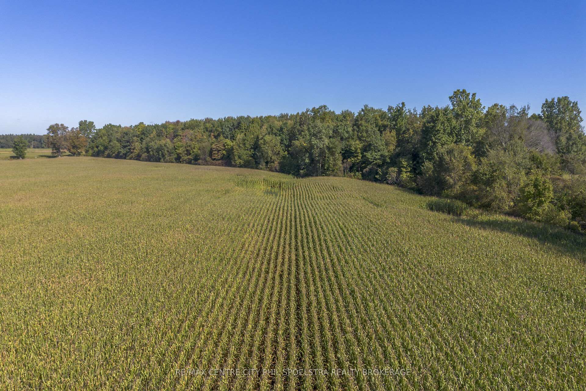 Photo 13 of 1198 Coltsfoot Drive, Newbury — HOMEH