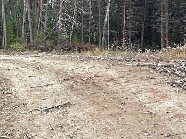 Photo 2 of PCL 7576 N, Dryden, Barclay — HOMEH