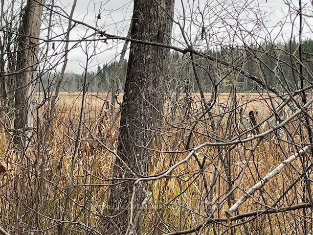 Photo 5 of PCL 7576 N, Dryden, Barclay — HOMEH