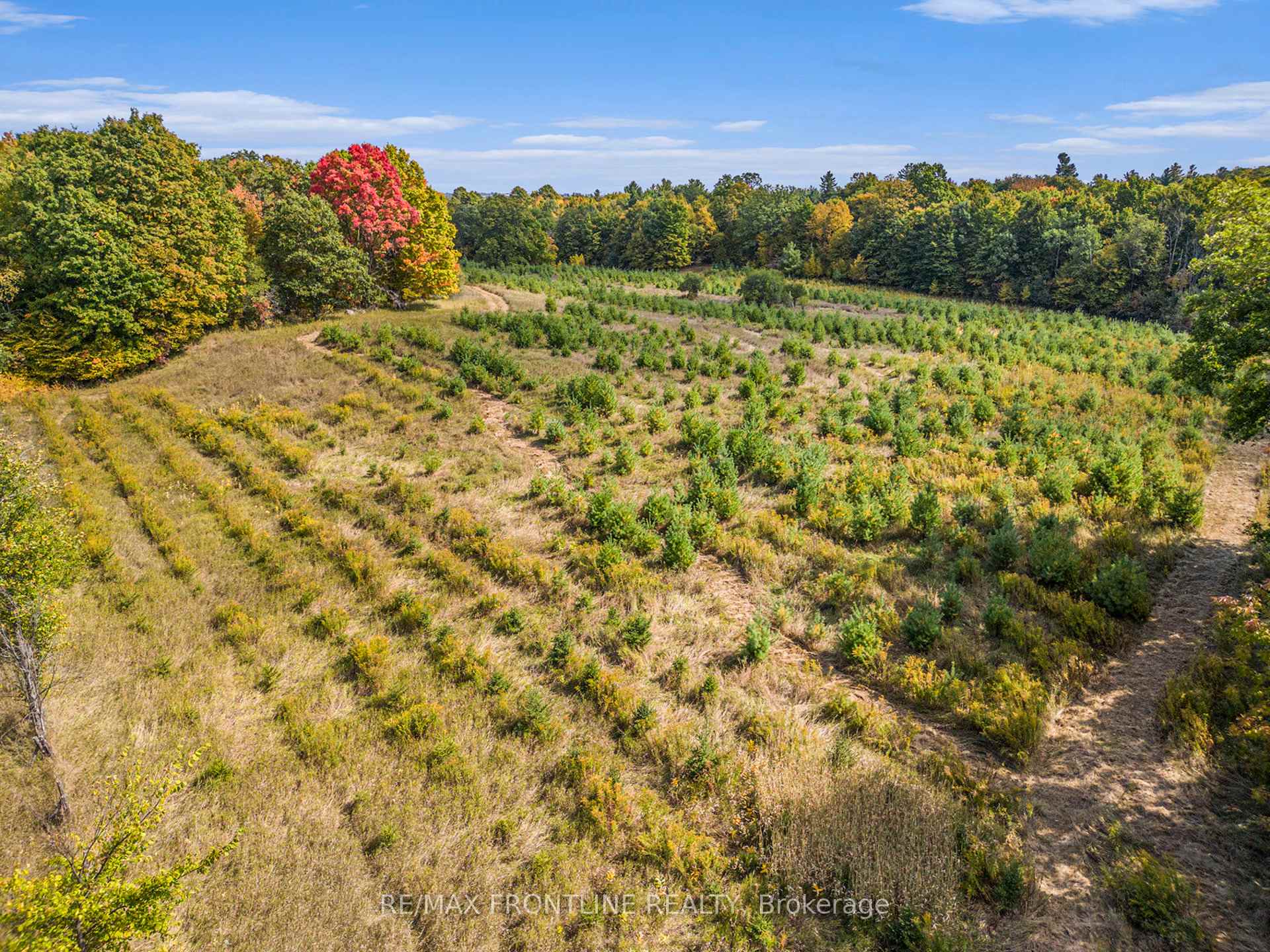 Photo 11 of Bennett Lake Road, Tay Valley, Bathurst/Burgess & Sherbrooke (Bathurst) Twp — HOMEH