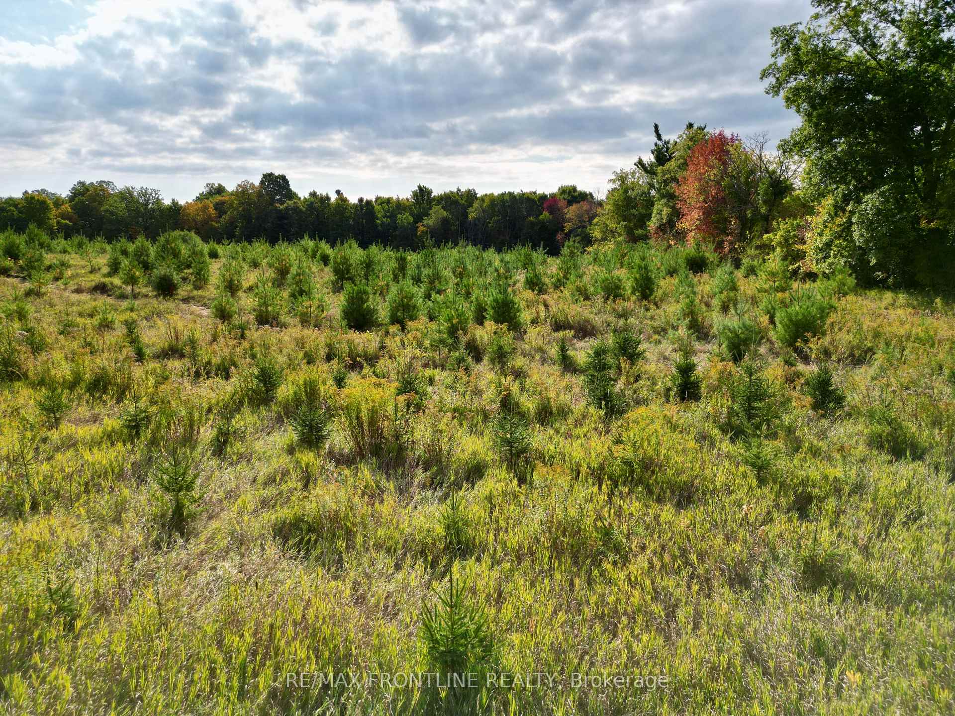 Photo 18 of Bennett Lake Road, Tay Valley, Bathurst/Burgess & Sherbrooke (Bathurst) Twp — HOMEH