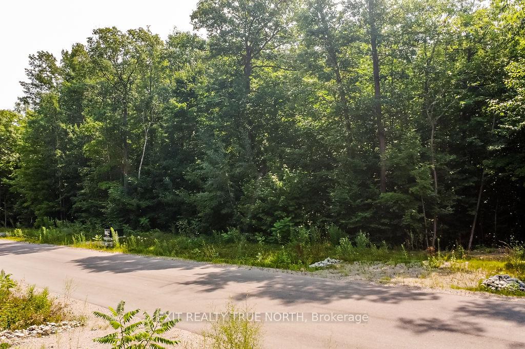 Photo 3 of LT 45 Explorers Landing, Tiny, Rural Tiny — HOMEH