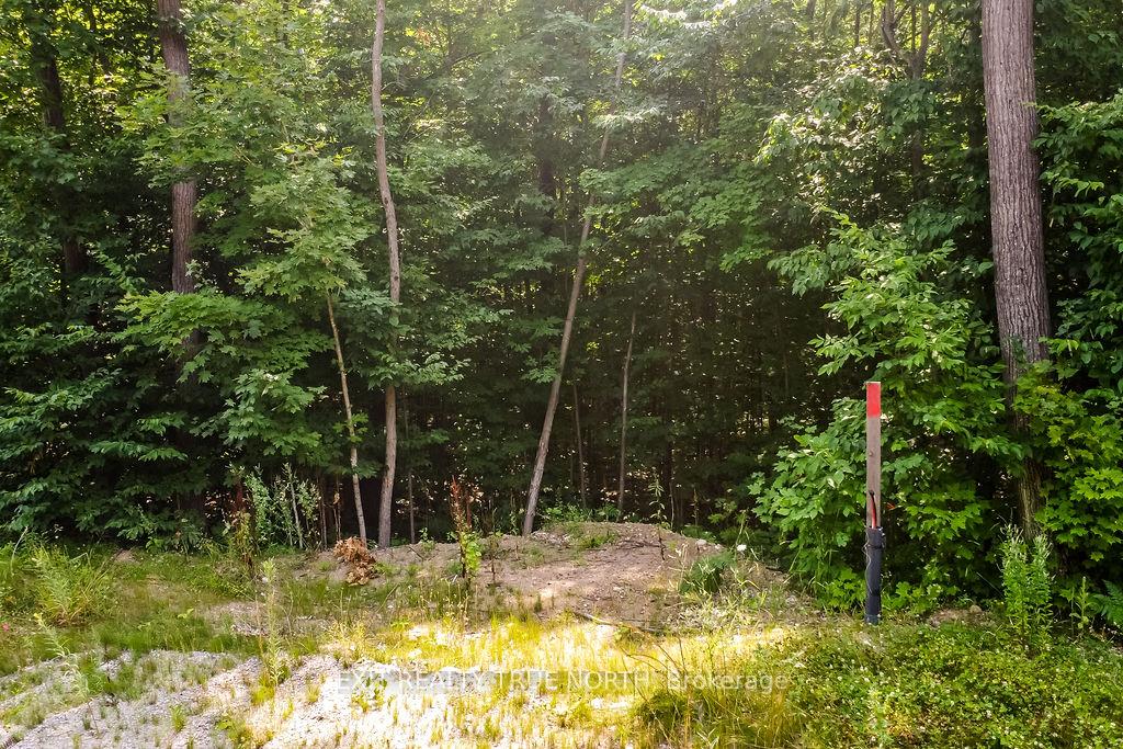 Photo 4 of LT 45 Explorers Landing, Tiny, Rural Tiny — HOMEH