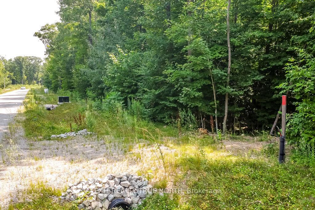 Photo 5 of LT 45 Explorers Landing, Tiny, Rural Tiny — HOMEH