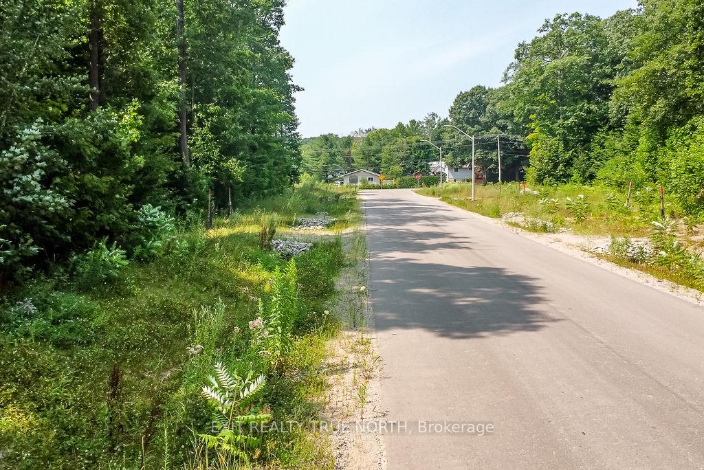 Photo 6 of LT 45 Explorers Landing, Tiny, Rural Tiny — HOMEH