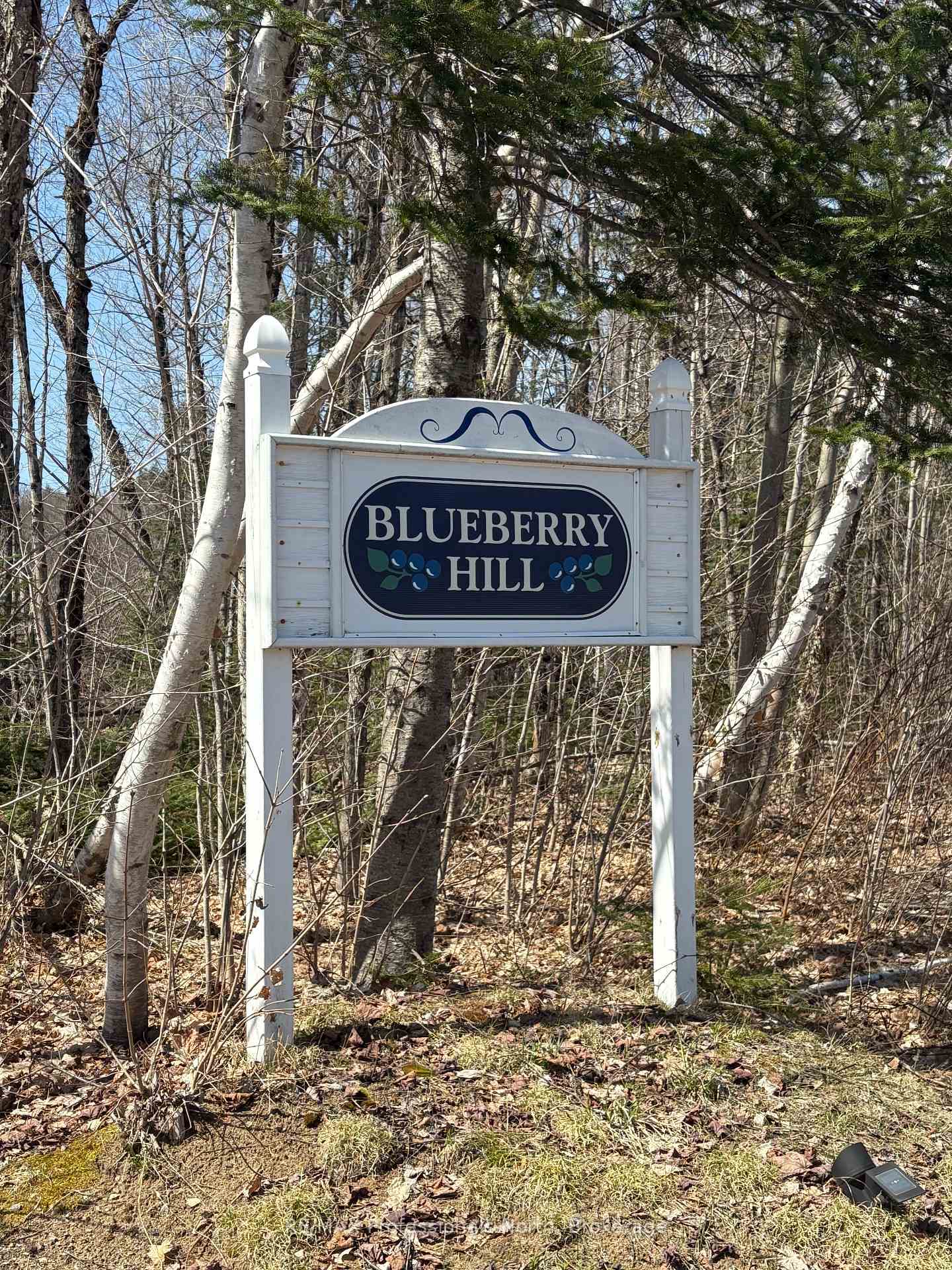 Photo 26 of 4043 Highway 60, Algonquin Highlands, McClintock — HOMEH
