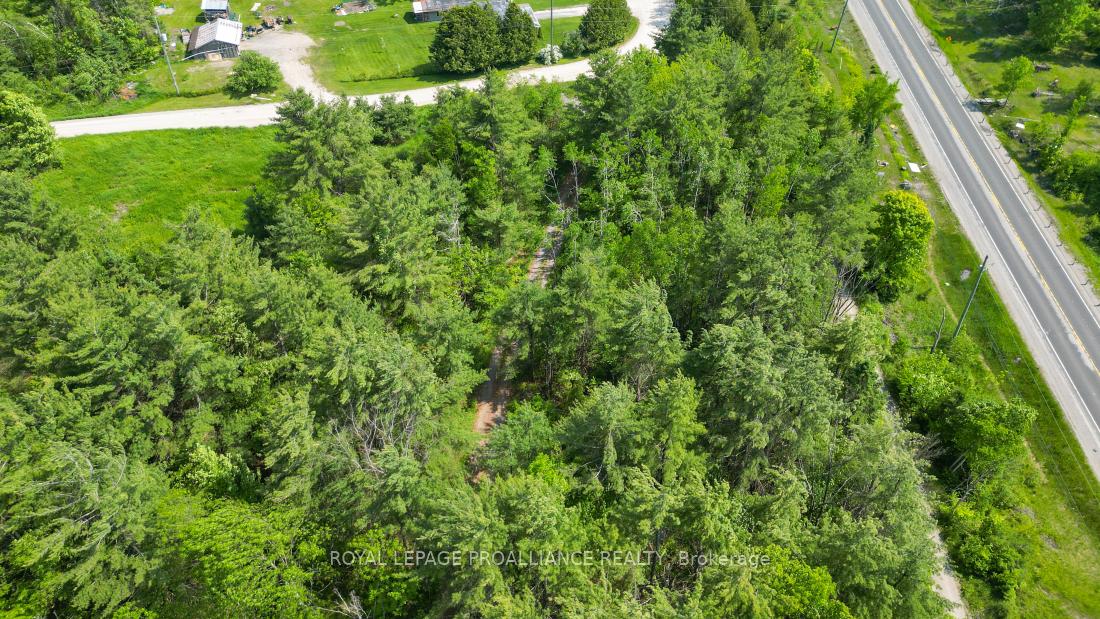 Photo 11 of 4 Wolf Lake Road, Madoc — HOMEH