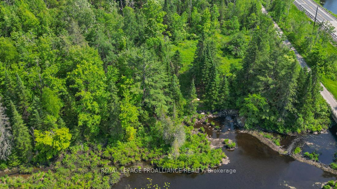 Photo 10 of 4 Wolf Lake Road, Madoc — HOMEH