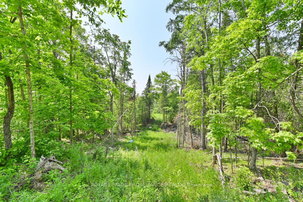 Photo 18 of 4 Wolf Lake Road, Madoc — HOMEH