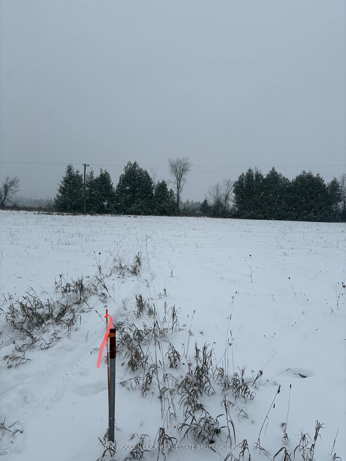 Photo 13 of Cooney Island Road, Douro-Dummer — HOMEH