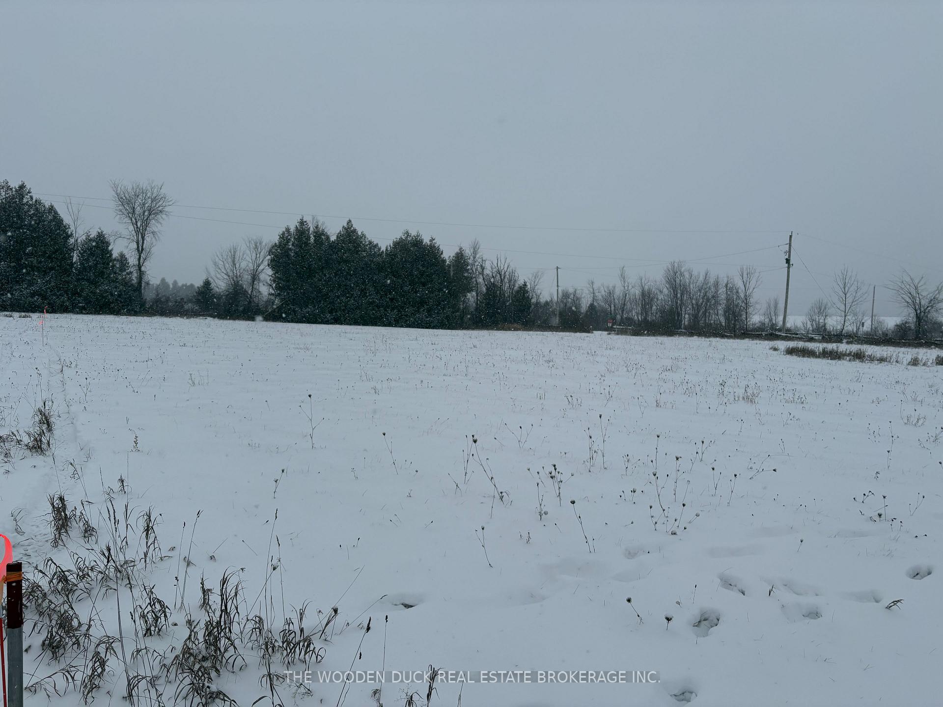 Photo 4 of Cooney Island Road, Douro-Dummer — HOMEH