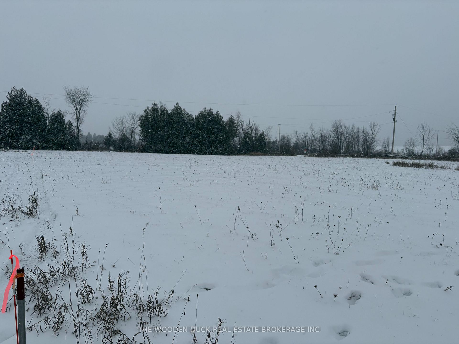 Photo 2 of Cooney Island Road, Douro-Dummer — HOMEH