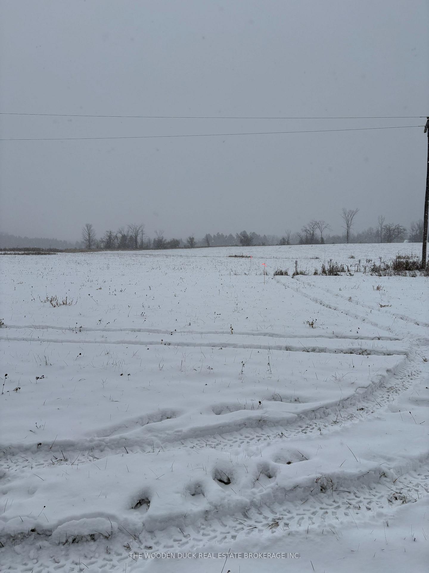 Photo 9 of Cooney Island Road, Douro-Dummer — HOMEH