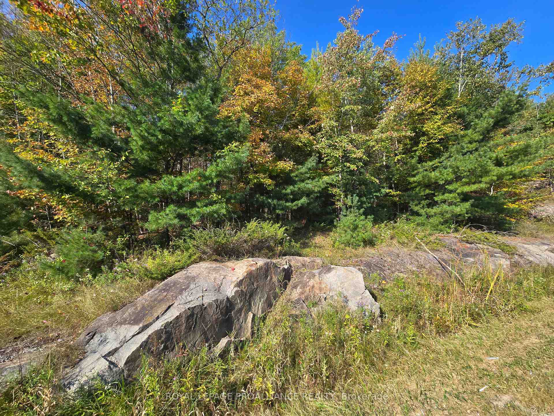 Photo 11 of 00 Road 38, Frontenac, Frontenac Centre — HOMEH