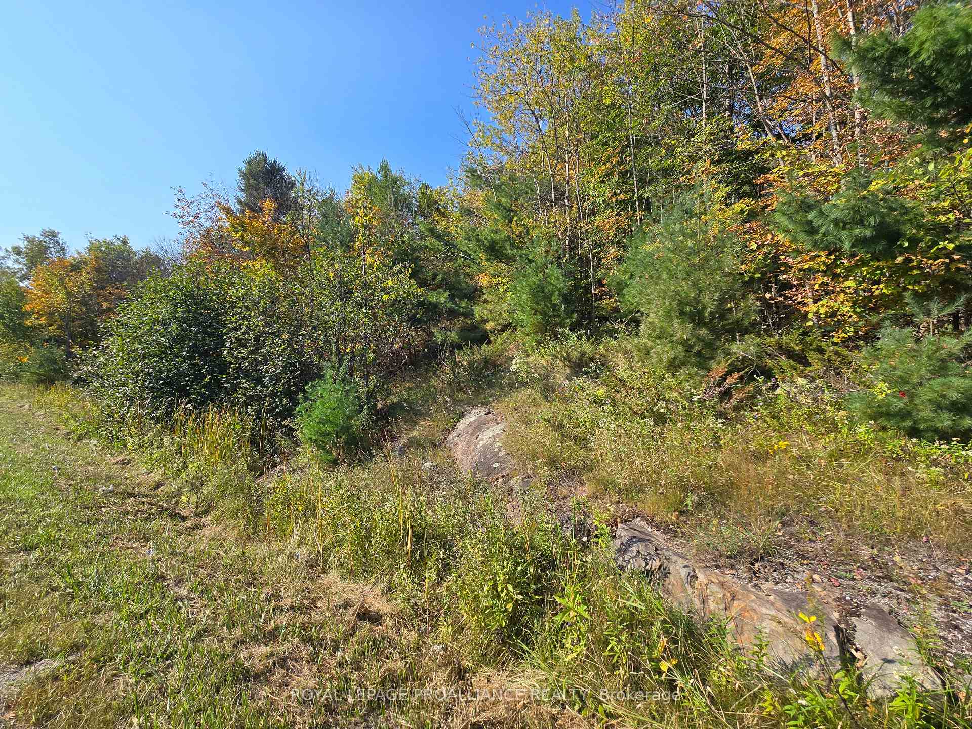 Photo 13 of 00 Road 38, Frontenac, Frontenac Centre — HOMEH