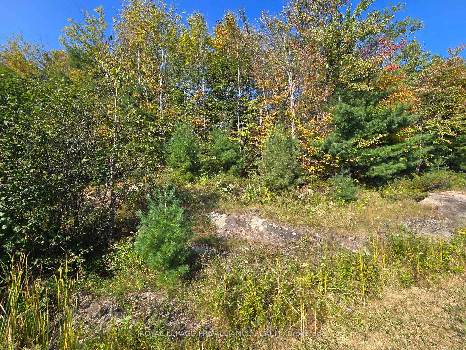 Photo 15 of 00 Road 38, Frontenac, Frontenac Centre — HOMEH