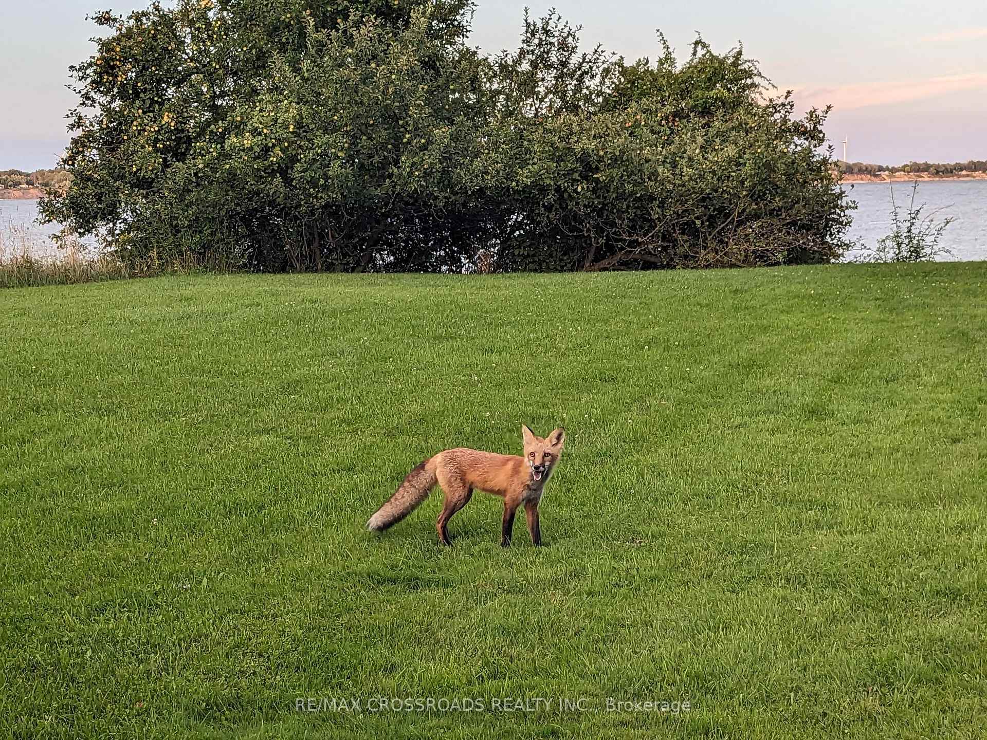 Photo 12 of 34 Burton Line, Haldimand, Dunnville — HOMEH