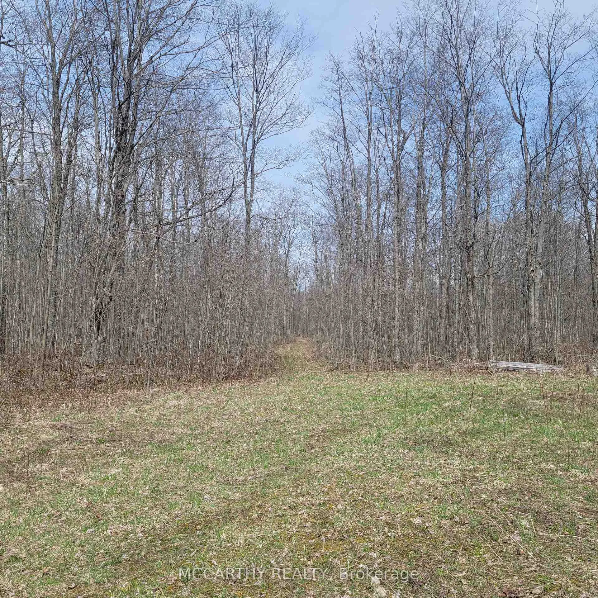 Photo 6 of 467323 12th Con B, Grey Highlands — HOMEH