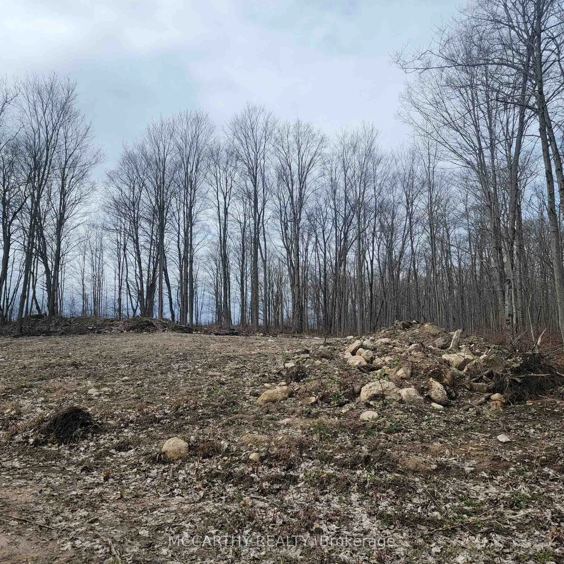 Photo 10 of 467323 12th Con B, Grey Highlands — HOMEH