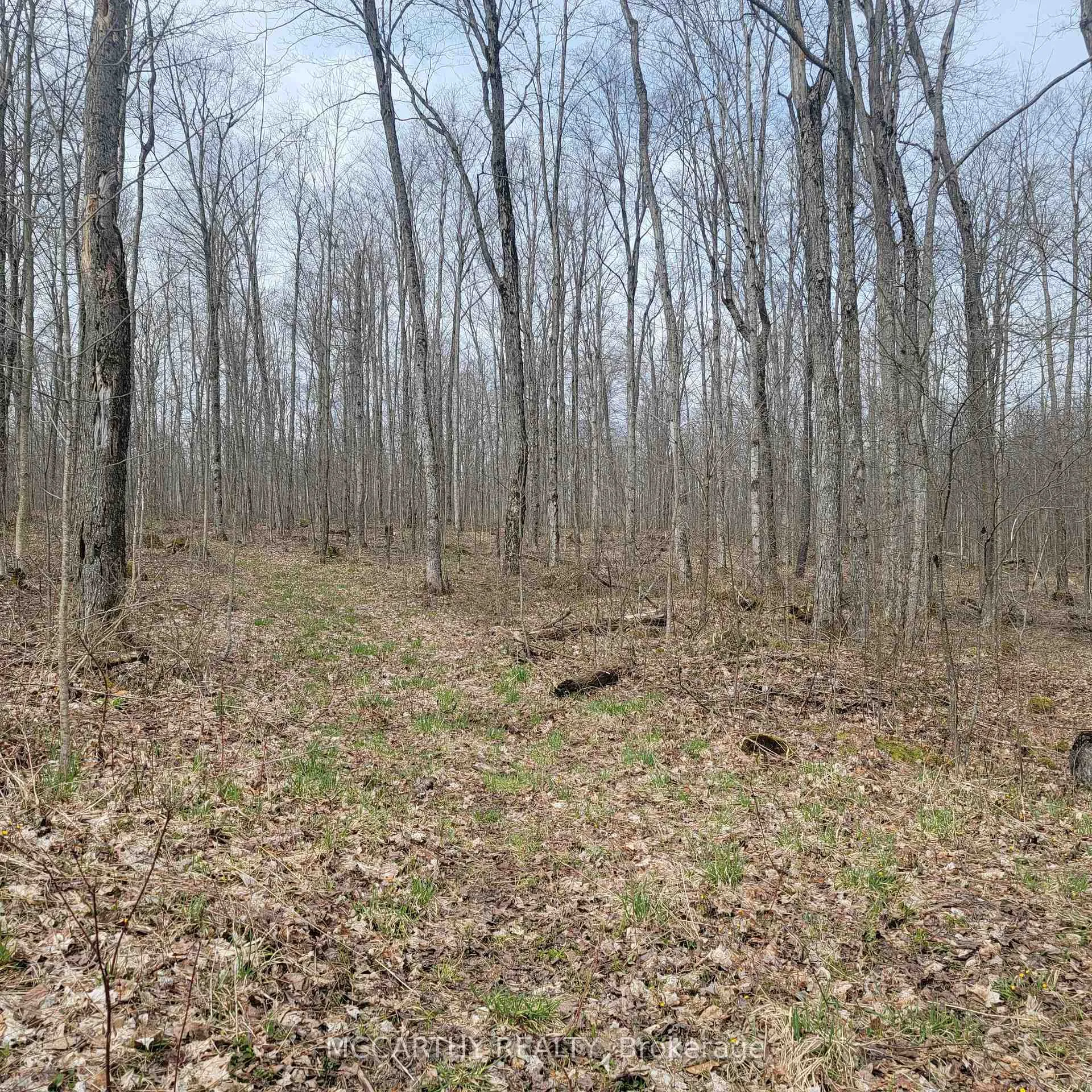 Photo 20 of 467323 12th Con B, Grey Highlands — HOMEH