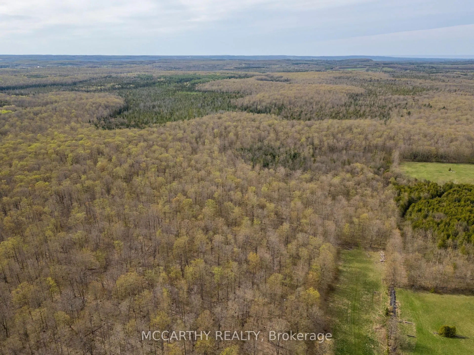 Photo 24 of 467323 12th Con B, Grey Highlands — HOMEH