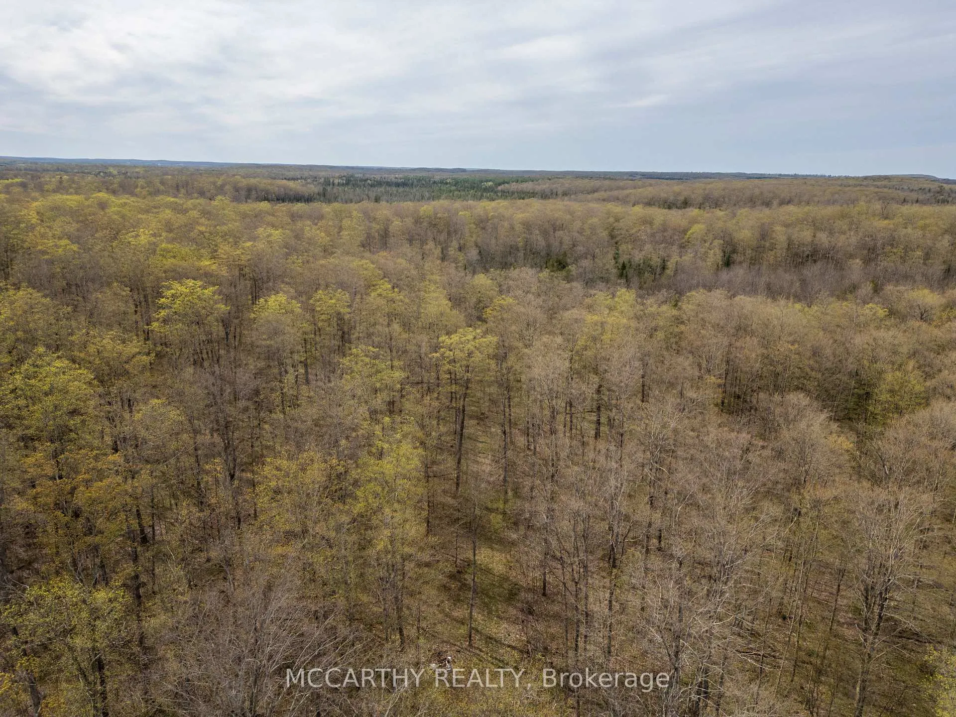 Photo 29 of 467323 12th Con B, Grey Highlands — HOMEH